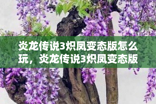 炎龙传说3炽凤变态版怎么玩，炎龙传说3炽凤变态版，解锁无限可能的冒险之旅