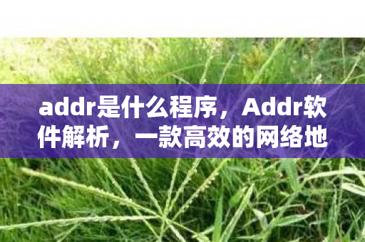 addr是什么程序，Addr软件解析，一款高效的网络地址管理工具