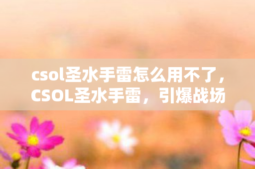 csol圣水手雷怎么用不了，CSOL圣水手雷，引爆战场的新利器