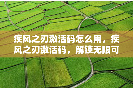 疾风之刃激活码怎么用，疾风之刃激活码，解锁无限可能的冒险之旅