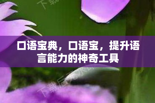 口语宝典，口语宝，提升语言能力的神奇工具