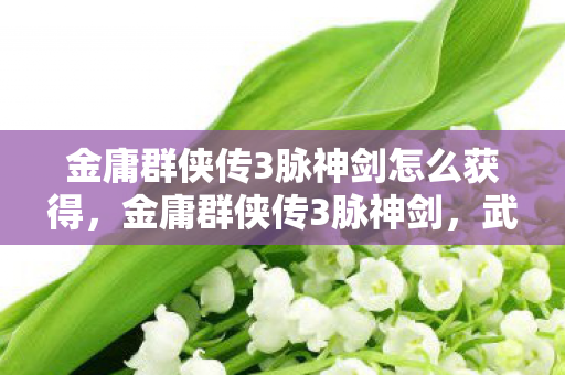 金庸群侠传3脉神剑怎么获得，金庸群侠传3脉神剑，武侠世界的奇幻之旅