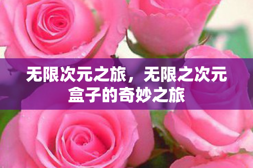 无限次元之旅，无限之次元盒子的奇妙之旅