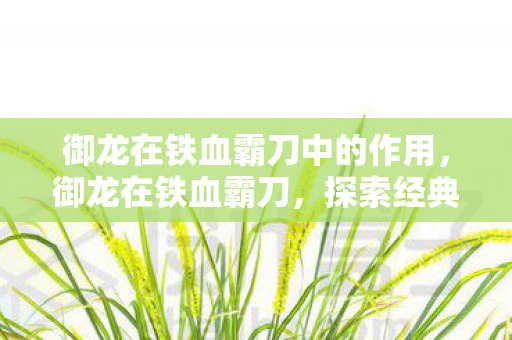 御龙在铁血霸刀中的作用，御龙在铁血霸刀，探索经典游戏的魅力与传承