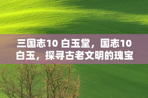 三国志10 白玉堂，国志10白玉，探寻古老文明的瑰宝