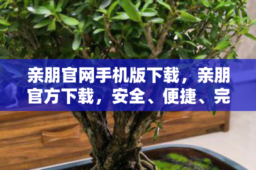 亲朋官网手机版下载，亲朋官方下载，安全、便捷、完整的体验