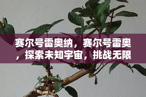 赛尔号雷奥纳，赛尔号雷奥，探索未知宇宙，挑战无限可能