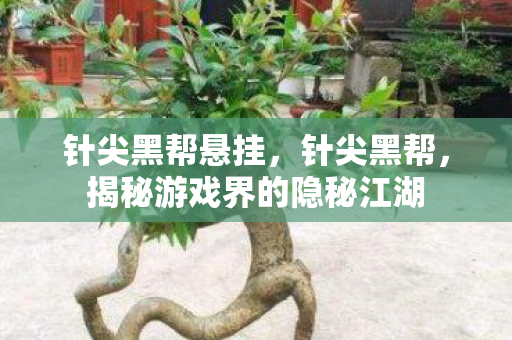 针尖黑帮悬挂，针尖黑帮，揭秘游戏界的隐秘江湖
