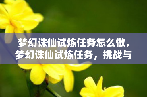 梦幻诛仙试炼任务怎么做，梦幻诛仙试炼任务，挑战与成长的双重奏章
