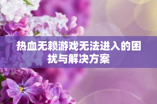 热血无赖游戏无法进入的困扰与解决方案