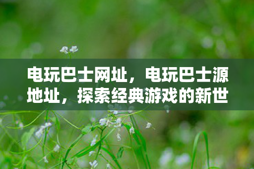 电玩巴士网址，电玩巴士源地址，探索经典游戏的新世界