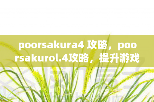 poorsakura4 攻略，poorsakurol.4攻略，提升游戏效率与战斗技巧的全方位指南