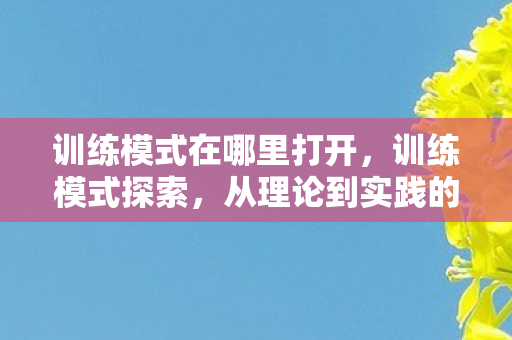 训练模式在哪里打开，训练模式探索，从理论到实践的深度剖析