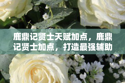 鹿鼎记贤士天赋加点，鹿鼎记贤士加点，打造最强辅助的攻略指南