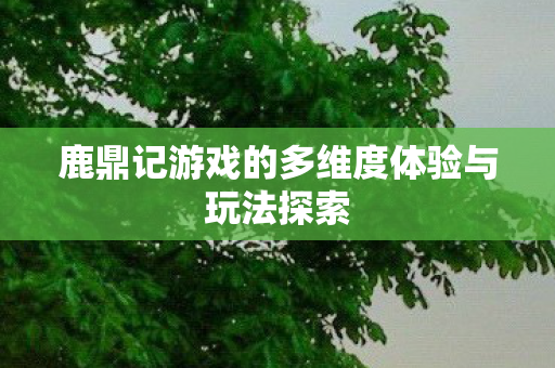 鹿鼎记游戏的多维度体验与玩法探索