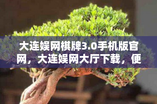 大连娱网棋牌3.0手机版官网，大连娱网大厅下载，便捷娱乐新选择