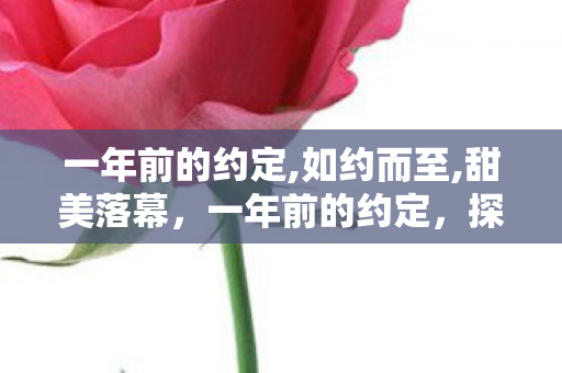 一年前的约定,如约而至,甜美落幕，一年前的约定，探索游戏世界的无限可能
