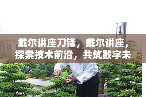 戴尔讲座刀锋，戴尔讲座，探索技术前沿，共筑数字未来