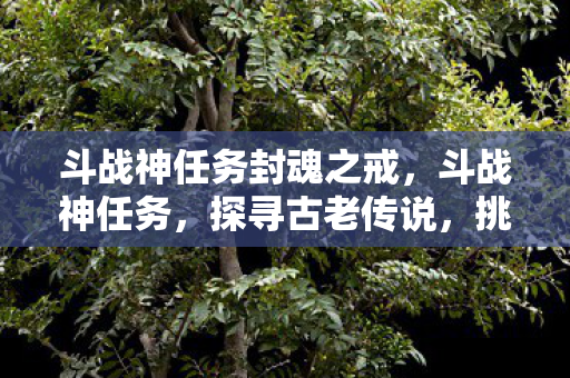斗战神任务封魂之戒，斗战神任务，探寻古老传说，挑战未知领域