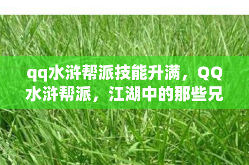 qq水浒帮派技能升满，QQ水浒帮派，江湖中的那些兄弟情与荣耀