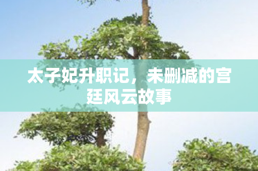 太子妃升职记，未删减的宫廷风云故事