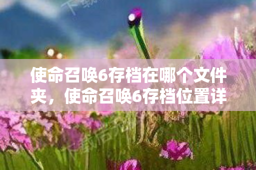 使命召唤6存档在哪个文件夹，使命召唤6存档位置详解