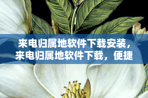 来电归属地软件下载安装，来电归属地软件下载，便捷生活，从归属开始