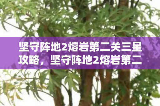 坚守阵地2熔岩第二关三星攻略，坚守阵地2熔岩第二关，挑战与策略的深度剖析