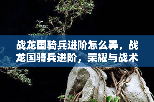 战龙国骑兵进阶怎么弄，战龙国骑兵进阶，荣耀与战术的交织