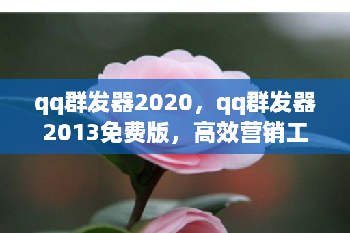 qq群发器2020，qq群发器2013免费版，高效营销工具，助力企业精准推广