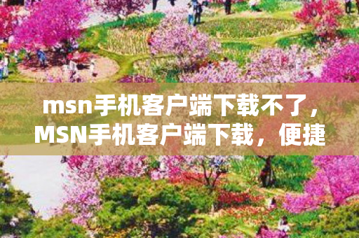 msn手机客户端下载不了，MSN手机客户端下载，便捷沟通，尽在掌握