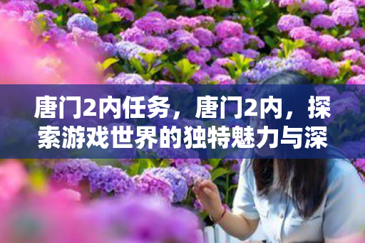 唐门2内任务，唐门2内，探索游戏世界的独特魅力与深度
