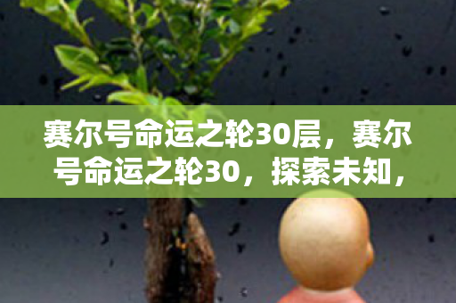 赛尔号命运之轮30层，赛尔号命运之轮30，探索未知，挑战极限