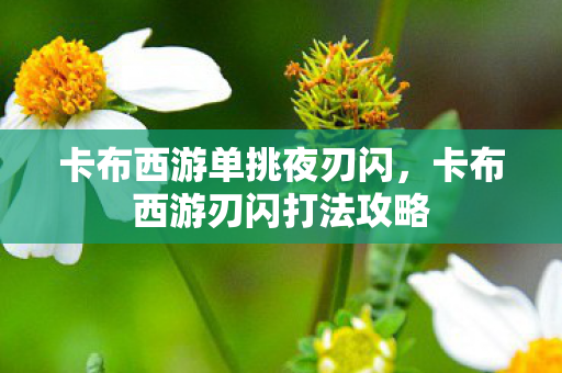 卡布西游单挑夜刃闪，卡布西游刃闪打法攻略