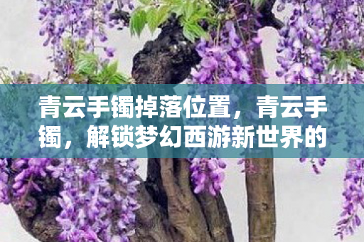 青云手镯掉落位置，青云手镯，解锁梦幻西游新世界的神秘钥匙