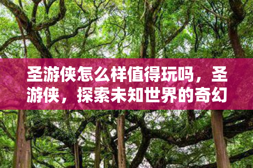 圣游侠怎么样值得玩吗，圣游侠，探索未知世界的奇幻之旅