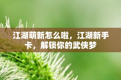 江湖萌新怎么啦，江湖新手卡，解锁你的武侠梦