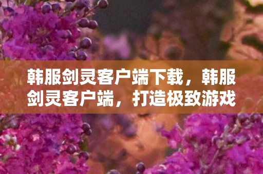 韩服剑灵客户端下载，韩服剑灵客户端，打造极致游戏体验的必备利器