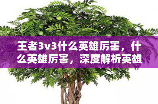 王者3v3什么英雄厉害，什么英雄厉害，深度解析英雄联盟中的强势英雄