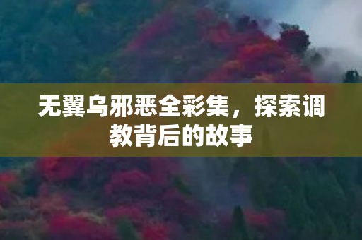 无翼乌邪恶全彩集，探索调教背后的故事