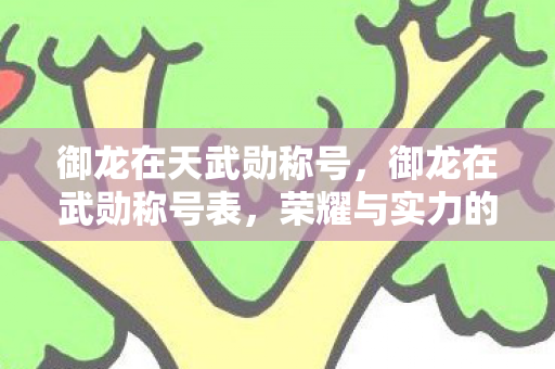 御龙在天武勋称号，御龙在武勋称号表，荣耀与实力的象征