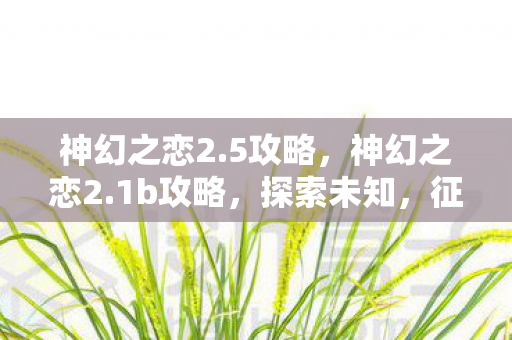 神幻之恋2.5攻略，神幻之恋2.1b攻略，探索未知，征服挑战