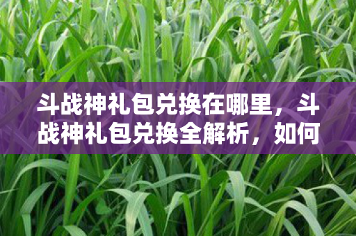 斗战神礼包兑换在哪里，斗战神礼包兑换全解析，如何高效获取与使用