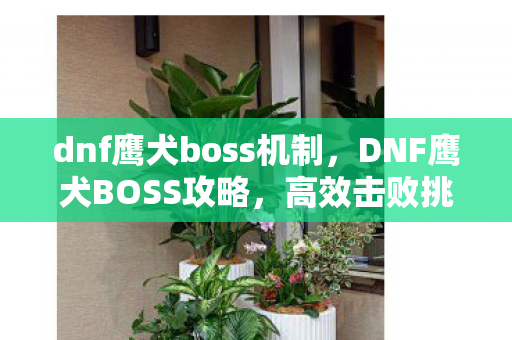dnf鹰犬boss机制，DNF鹰犬BOSS攻略，高效击败挑战