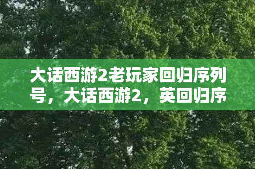 大话西游2老玩家回归序列号，大话西游2，英回归序列号，重温经典，再续前缘