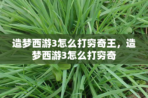造梦西游3怎么打穷奇王，造梦西游3怎么打穷奇