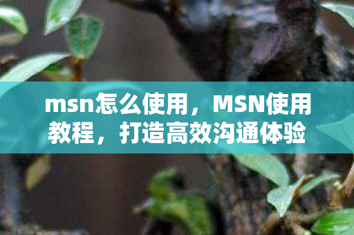 msn怎么使用，MSN使用教程，打造高效沟通体验