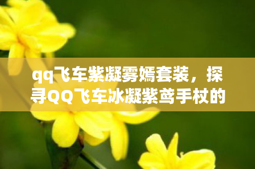 qq飞车紫凝雾嫣套装，探寻QQ飞车冰凝紫鸢手杖的魅力