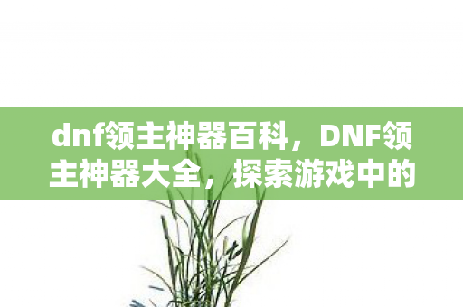 dnf领主神器百科，DNF领主神器大全，探索游戏中的神器宝藏