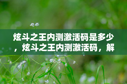 炫斗之王内测激活码是多少，炫斗之王内测激活码，解锁未来战斗的新篇章